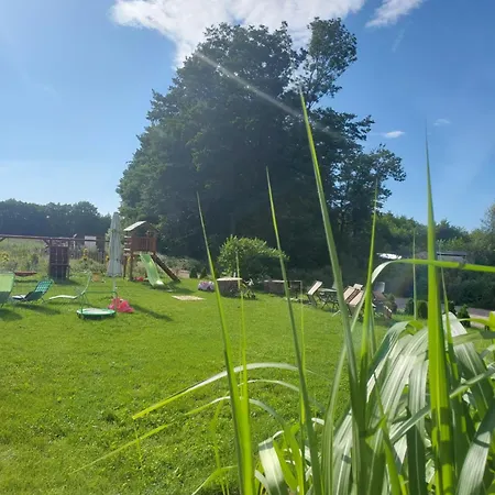 Paprotówka Wiosenny Paprotno