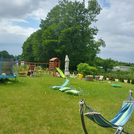 Paprotowka Wiosenny Duza Otwarta Przestrzen Bez Podzialu Na Pomieszczenia * Paprotno